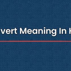 Introvert Meaning In Hindi