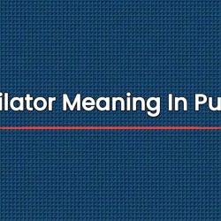 Invigilator Meaning In Punjabi