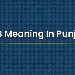 JCB Meaning In Punjabi