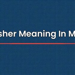 Kingfisher Meaning In Marathi