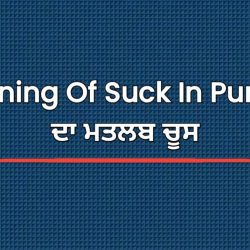 Meaning Of Suck In Punjabi