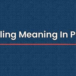 Medalling Meaning In Punjabi