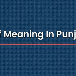 Milf Meaning In Punjabi