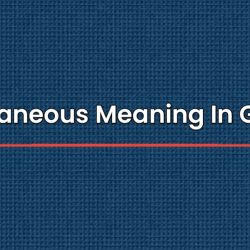 Miscellaneous Meaning In Gujarati