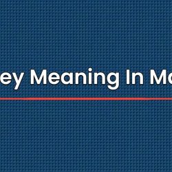 Monkey Meaning In Marathi