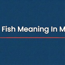 Mullet Fish Meaning In Marathi