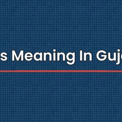 NGOs Meaning In Gujarati