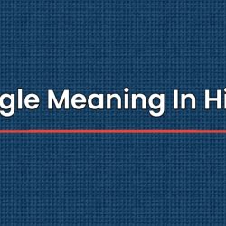 Niggle Meaning In Hindi