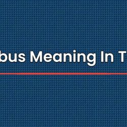 Nimbus Meaning In Tamil