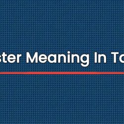 Ouster Meaning In Tamil