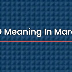 PHD Meaning In Marathi