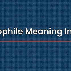 Paedophile Meaning In Hindi