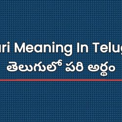 Pari Meaning In Telugu