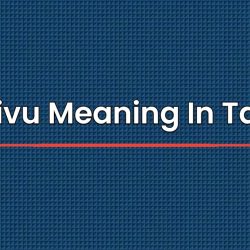 Parivu Meaning In Tamil