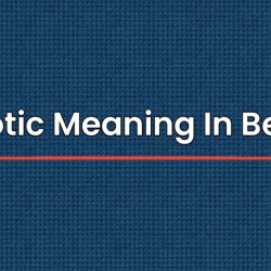 Patriotic Meaning In Bengali