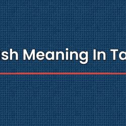 Polish Meaning In Tamil