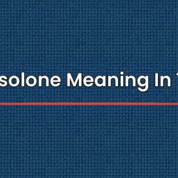 Prednisolone Meaning In Telugu