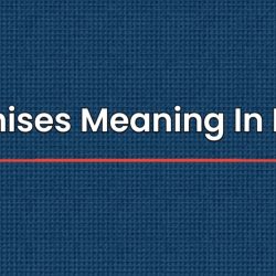 Premises Meaning In Hindi