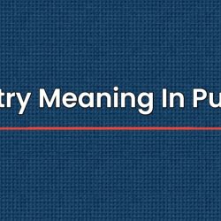 Pulpitry Meaning In Punjabi