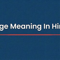 Rage Meaning In Hindi