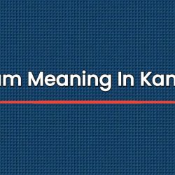 Rectum Meaning In Kannada