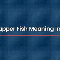 Red Snapper Fish Meaning In Telugu