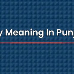 Rely Meaning In Punjabi