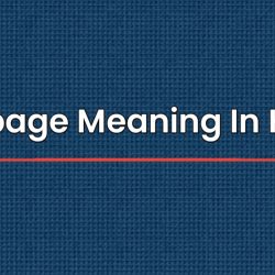 Seepage Meaning In Hindi