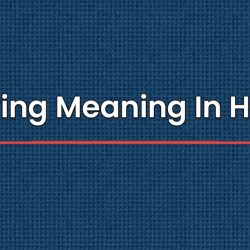 Spying Meaning In Hindi