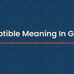 Susceptible Meaning In Gujarati