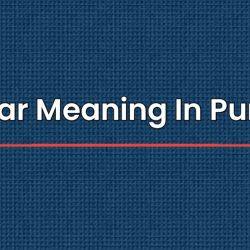 Vulgar Meaning In Punjabi