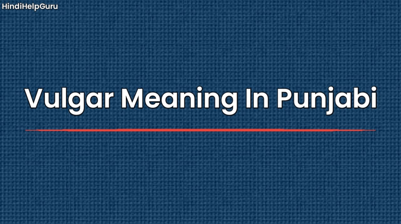Vulgar Meaning In Punjabi