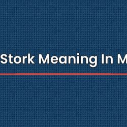 White Stork Meaning In Marathi