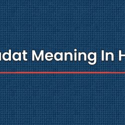 Wiladat Meaning In Hindi