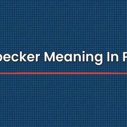 Woodpecker Meaning In Punjabi