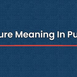 Capture Meaning In Punjabi