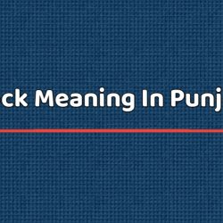 Flock Meaning In Punjabi