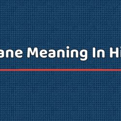 Insane Meaning In Hindi