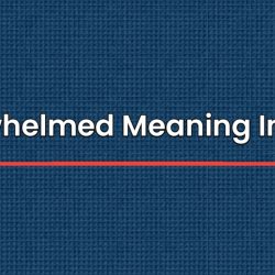 Overwhelmed Meaning In Hindi