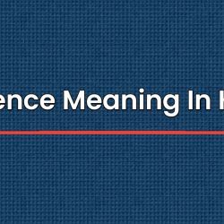 Patience Meaning In Hindi