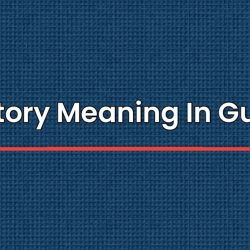 Statutory Meaning In Gujarati