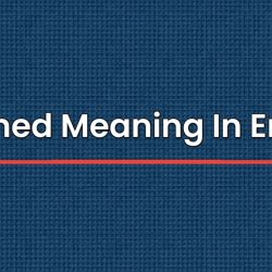 Stiffened Meaning In English