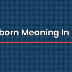 Stubborn Meaning In Hindi