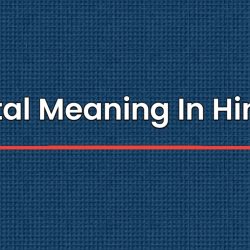 Vital Meaning In Hindi